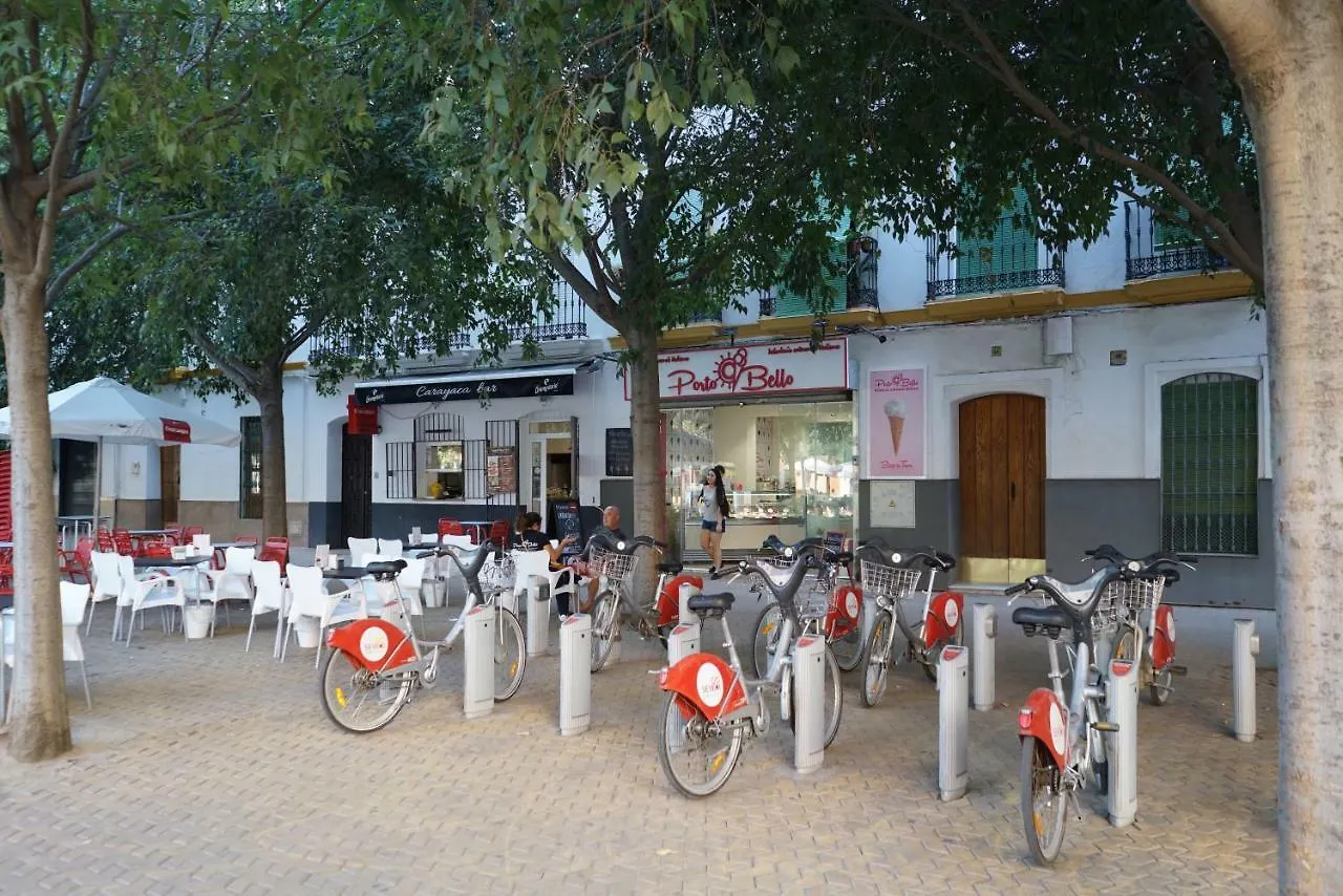Atico Con Terraza En Alameda De Hercules Sevilla 0*,
