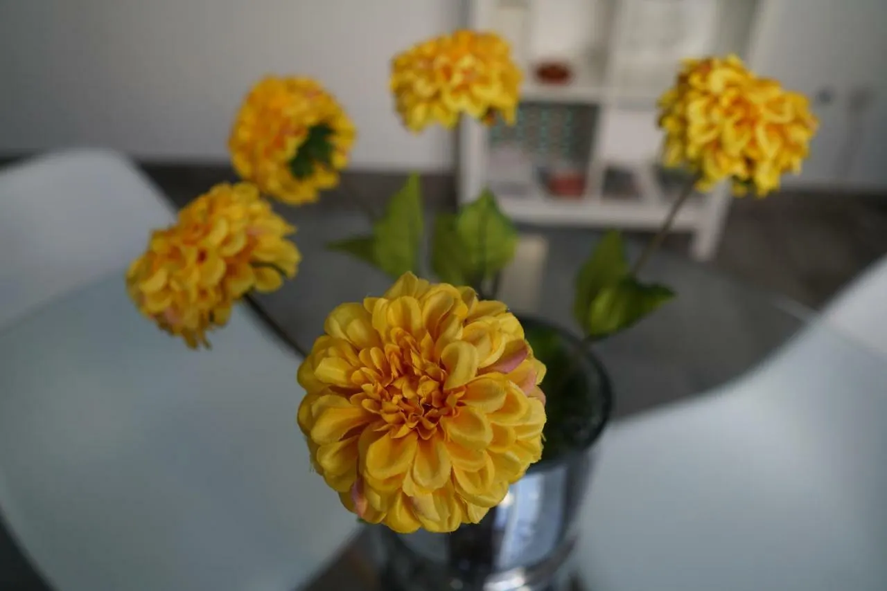 Atico Con Terraza En Alameda De Hercules Sevilla Apartmán